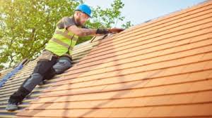 Best Skylight Installation and Repair  in Millport, AL