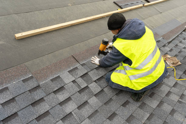 Best Roof Moss and Algae Removal  in Millport, AL