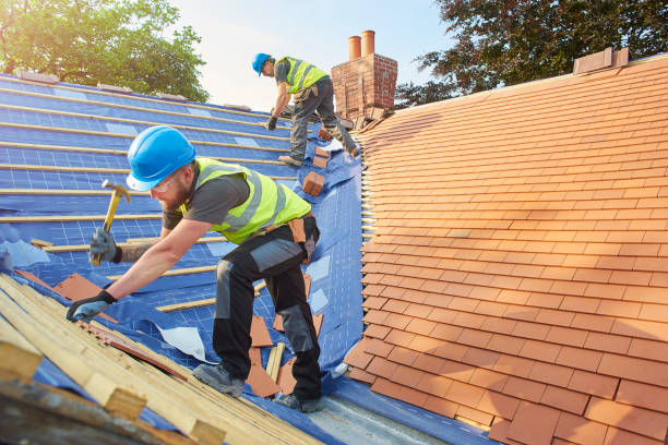 Best Roof Coating and Sealing  in Millport, AL